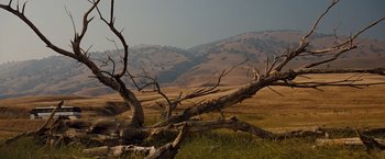 Movie still from “Fast & Furious” (2009), directed by Justin Lin – A tree that has fallen down in the middle of a field; Extreme Wide shot, Low angle