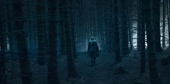 Movie still from “Fate: The Winx Saga” (2021), created by Brian Young – A person walking through a dark forest at night; Extreme Wide shot, Low angle