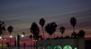 Movie still from “Funny People” (2009), directed by Judd Apatow – A view of palm trees at sunset from the side of a building; Extreme Wide shot, Low angle
