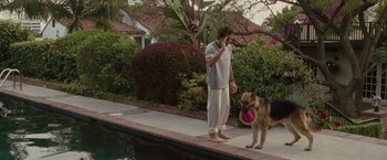 Movie still from “Greenberg” (2010), directed by Noah Baumbach – A man standing next to a dog holding a frisbee; Wide shot, Low angle
