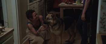 Movie still from “Greenberg” (2010), directed by Noah Baumbach – A woman sitting on the floor next to a brown and black dog; Medium shot, High angle