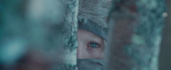 Movie still from “Hanna” (2011), directed by Joe Wright – A person's eye looking through a tree; Extreme Close Up shot, Over the shoulder angle