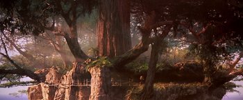 Movie still from “Hook” (1991), directed by Steven Spielberg – A large tree in the middle of a forest; Extreme Wide shot, Low angle