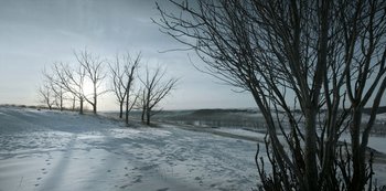 Movie still from “Black Summer” (2019), created by John Hyams – A view of some trees in a snowy field; Extreme Wide shot, High angle