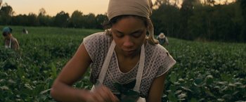 Movie still from “Loving” (2016), directed by Jeff Nichols – A woman in a field holding a plant and looking at it; Close Up shot, Low angle