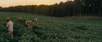 Movie still from “Loving” (2016), directed by Jeff Nichols – A group of people in a field of green plants; Extreme Wide shot, High angle