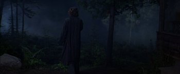 Movie still from “Secret Window” (2004), directed by David Koepp – A person standing in the dark near a tree; Wide shot, Over the shoulder angle