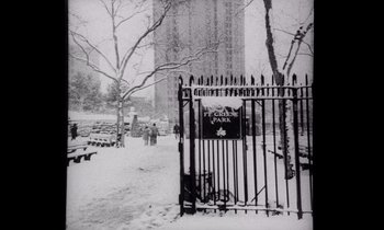 Movie still from “She's Gotta Have It” (1986), directed by Spike Lee – A black and white photo of a park with benches and trees; Wide shot, High angle