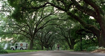 Movie still from “Steel Magnolias” (1989), directed by Herbert Ross – A person riding a bike down a tree lined street; Extreme Wide shot, Low angle