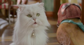 Movie still from “Stuart Little 2” (2002), directed by Rob Minkoff – A white cat with a bell on it's neck; Close Up shot, Low angle