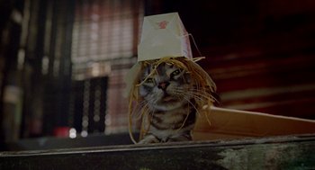 Movie still from “Stuart Little 2” (2002), directed by Rob Minkoff – A cat with a paper hat on its head; Close Up shot, Low angle