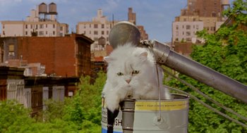 Movie still from “Stuart Little 2” (2002), directed by Rob Minkoff – A white cat sitting on top of a metal barrel; Wide shot, Low angle