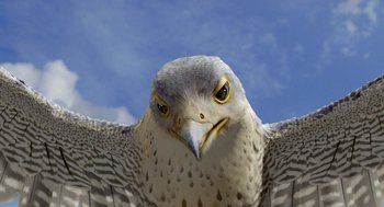 Movie still from “Stuart Little 2” (2002), directed by Rob Minkoff – The head of a bird with its wings outstretched; Extreme Close Up shot, Low angle