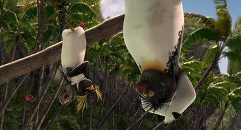 Movie still from “Surf's Up” (2007), directed by Chris Buck – A couple of birds that are hanging from a branch; Medium shot, Low angle