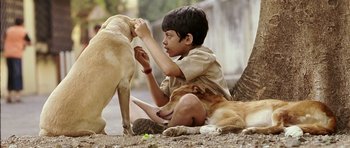 A boy sitting on the ground with two dogs