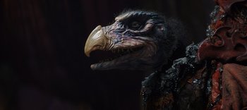 Movie still from “The Dark Crystal: Age of Resistance” (2019), created by Jim Henson – The head and beak of a bird; Extreme Close Up shot, Low angle
