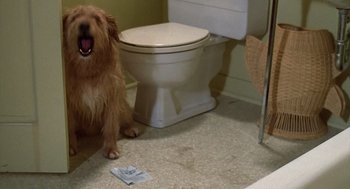 Movie still from “The Jerk” (1979), directed by Carl Reiner – A dog sitting next to a toilet in a bathroom; Medium shot, High angle