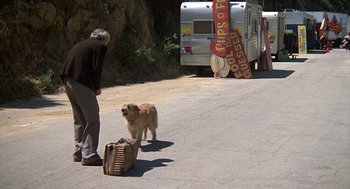 Movie still from “The Jerk” (1979), directed by Carl Reiner – A man and a dog on the side of the road; Wide shot, High angle