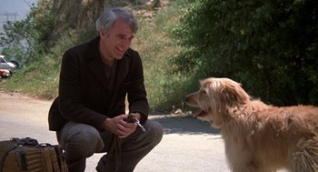 Movie still from “The Jerk” (1979), directed by Carl Reiner – A man kneeling next to a dog on a street; Medium shot, Over the shoulder angle