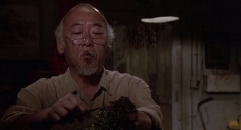 Movie still from “The Karate Kid” (1984), directed by John G. Avildsen – An older man wearing glasses and a tan shirt holding a plant; Close Up shot, Low angle