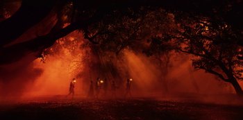 A group of people walking through a forest at night