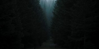 Movie still from “The Ritual” (2017), directed by David Bruckner – A forest with a trail going through the trees; Extreme Wide shot, High angle