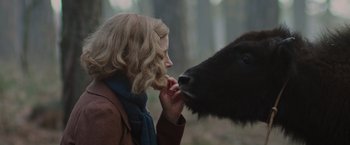 Movie still from “The Zookeeper's Wife” (2017), directed by Niki Caro – A woman touching the nose of a black cow; Close Up shot, Over the shoulder angle
