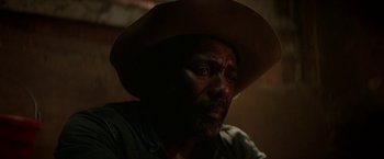 A person wearing a cowboy hat