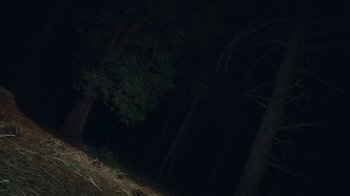 Movie still from “Creep 2” (2017), directed by Patrick Brice – A dark night in the woods with a light shining through the trees; Extreme Wide shot, Low angle