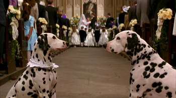 Movie still from “101 Dalmatians” (1996), directed by Stephen Herek – Two dalmatian dogs standing next to each other in front of people; Close Up shot, High angle