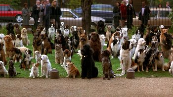 Movie still from “101 Dalmatians” (1996), directed by Stephen Herek – A group of dogs sitting on top of a grass covered field; Wide shot, High angle