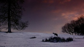 Movie still from “101 Dalmatians” (1996), directed by Stephen Herek – A dog standing on top of a snow covered field; Extreme Wide shot, Low angle