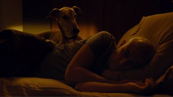 Movie still from “50/50” (2011), directed by Jonathan Levine – A woman laying on a bed with a dog in the background; Medium shot, Low angle