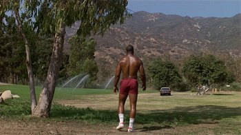 Movie still from “8 Million Ways to Die” (1986), directed by Hal Ashby – A man standing in a field near a tree; Wide shot, High angle