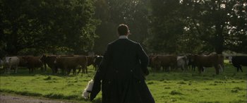 Movie still from “Tristram Shandy” (2005), directed by Michael Winterbottom – A man walking in a field with a bunch of cows; Wide shot, Over the shoulder angle