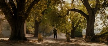 Movie still from “A Good Year” (2006), directed by Ridley Scott – A man standing next to a tree in a park; Extreme Wide shot, Low angle