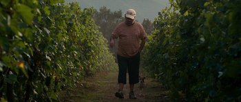 Movie still from “A Good Year” (2006), directed by Ridley Scott – A man and a dog walking through a vineyard; Wide shot, Low angle