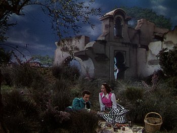 Movie still from “A Song to Remember” (1945), directed by Charles Vidor – Two people sitting on a blanket in the grass; Wide shot, High angle