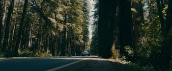Movie still from “Acidman” (2022), directed by Alex Lehmann – A car driving down a road in the middle of a forest; Extreme Wide shot, Low angle