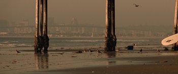 Movie still from “Act of Valor” (2012), directed by Scott Waugh – A group of birds standing on top of a sandy beach; Extreme Wide shot, High angle