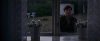 A man looking out of a window at a flower pot