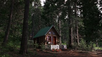Movie still from “Addams Family Values” (1993), directed by Barry Sonnenfeld – A small log cabin in the middle of the woods; Extreme Wide shot, Low angle