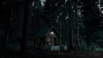 Movie still from “Addams Family Values” (1993), directed by Barry Sonnenfeld – A small log cabin in the middle of the woods; Extreme Wide shot, High angle