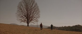 Movie still from “All the Real Girls” (2003), directed by David Gordon Green – Two people standing in a field near a tree; Extreme Wide shot, Low angle