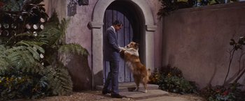 Movie still from “An Affair to Remember” (1957), directed by Leo McCarey – A man in a suit petting a brown and white dog in front of a door; Wide shot, Low angle