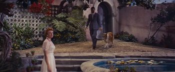 Movie still from “An Affair to Remember” (1957), directed by Leo McCarey – A man and a dog walking down the sidewalk; Wide shot, Low angle