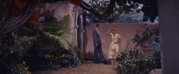 Movie still from “An Affair to Remember” (1957), directed by Leo McCarey – A man and a woman walking in a garden; Wide shot, High angle