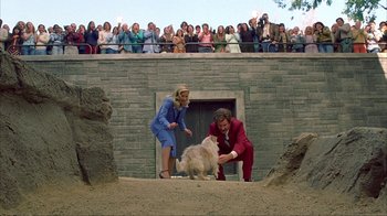 Movie still from “Anchorman: The Legend of Ron Burgundy” (2004), directed by Adam McKay – A man and a woman standing next to a dog in front of a crowd; Extreme Wide shot, High angle