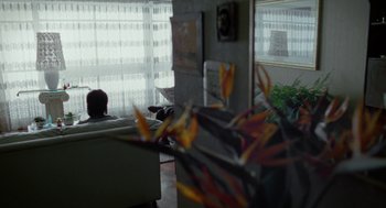Movie still from “And Your Mother Too” (2001), directed by Alfonso Cuarón – A living room filled with furniture next to a window; Wide shot, Over the shoulder angle