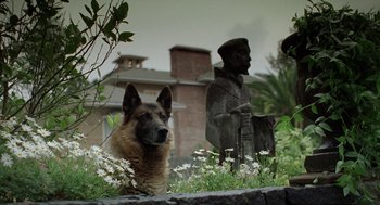 Movie still from “And Your Mother Too” (2001), directed by Alfonso Cuarón – A dog sitting in the grass next to a statue; Close Up shot, Low angle